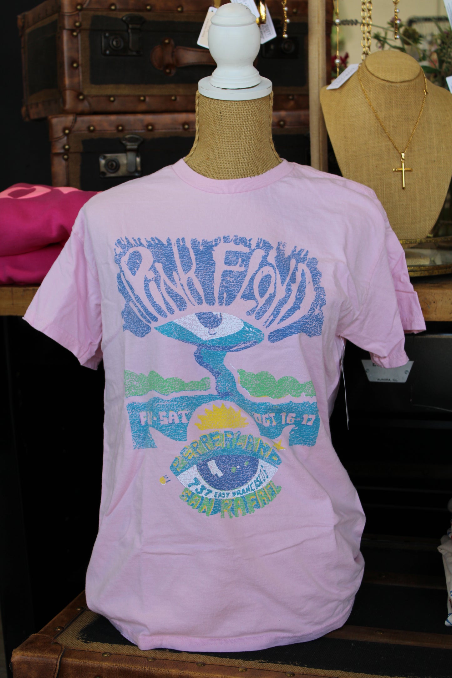 Pink Floyd Pepperland Thrifted Tee
