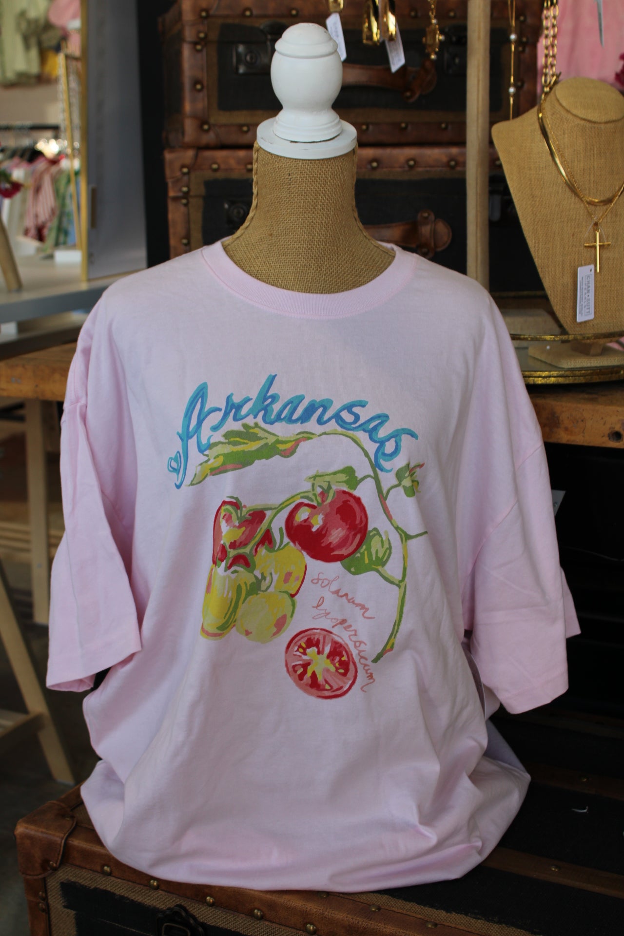 Arkansas Pink Tomato Thrifted Tee