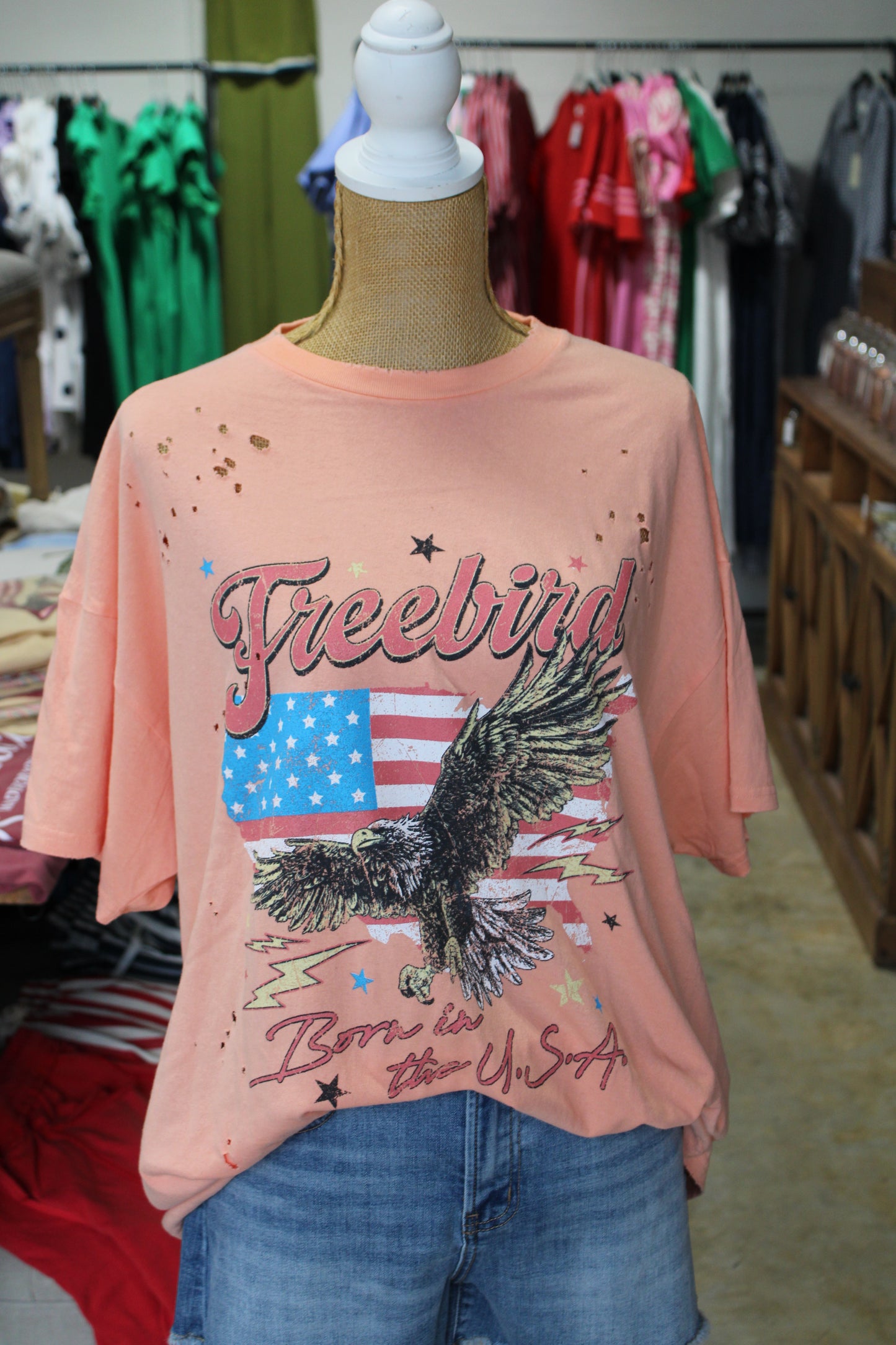 Free Bird USA Tee