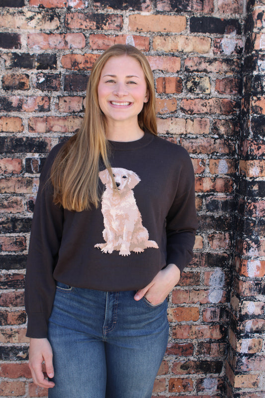 Golden Retriever Sweater